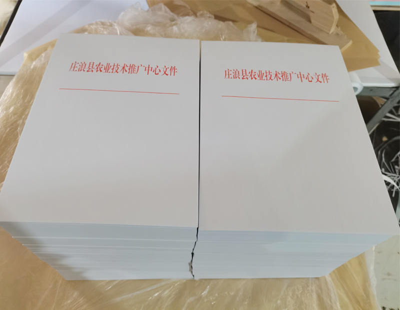 天峻文头纸
